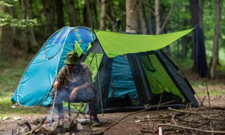 At overnatte i naturen: Din Guide Til Søvn Under Stjernerne