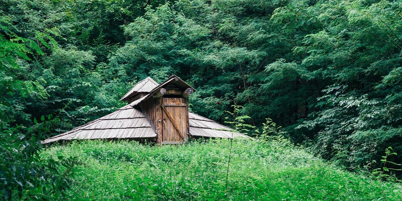 4 Fantastiske Shelterpladser i Kolding-området: Komplet Guide