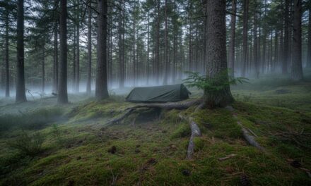 Den Ultimative Guide til Stealth Camping i Nordjylland