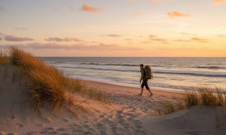 Kystvandring i Danmark: Ruter, Natur og Praktiske Tips