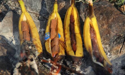 Bananer med Chokolade Og Skumfiduser Over Bål
