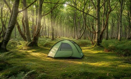 Overnatning i Rold Skov: shelter, telt og friluftsliv