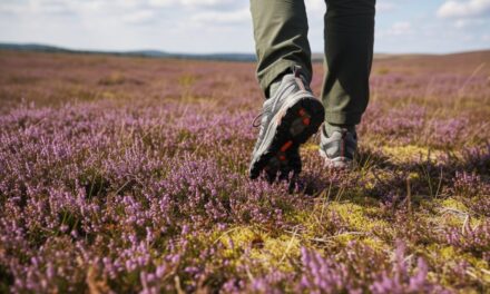 Find de perfekte vandresko og vandrestøvler til din sommertur i Danmark