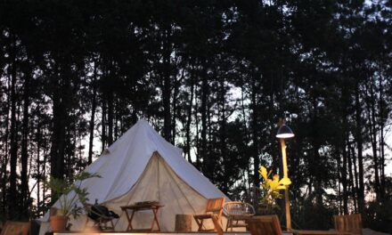 Oplev Hesselgaard Glamping – Danmarks bedste